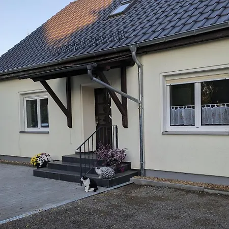 Zur Coleus-farm * Colditz